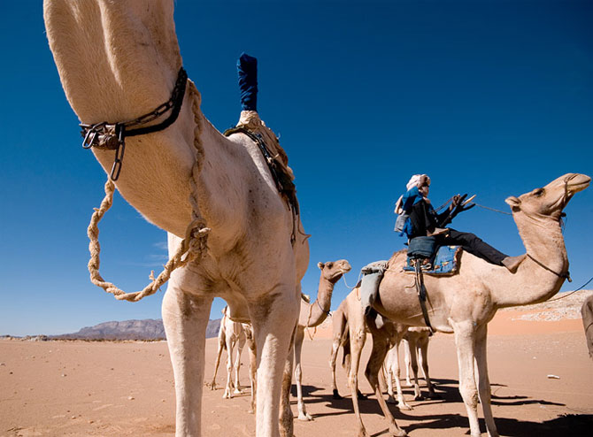 القوافل الصحراء